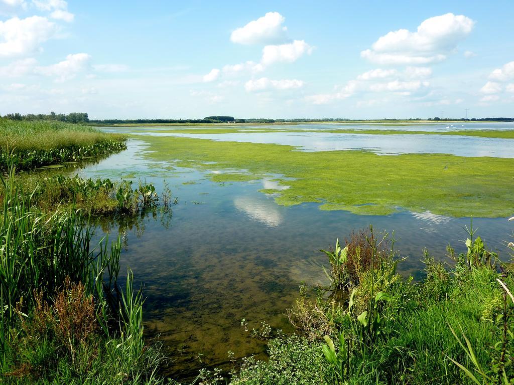 De Brabantse Biesbosch Hotel Werkendam Eksteriør billede