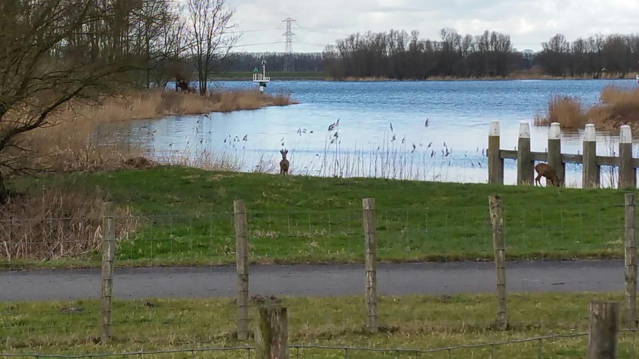 De Brabantse Biesbosch Hotel Werkendam Eksteriør billede