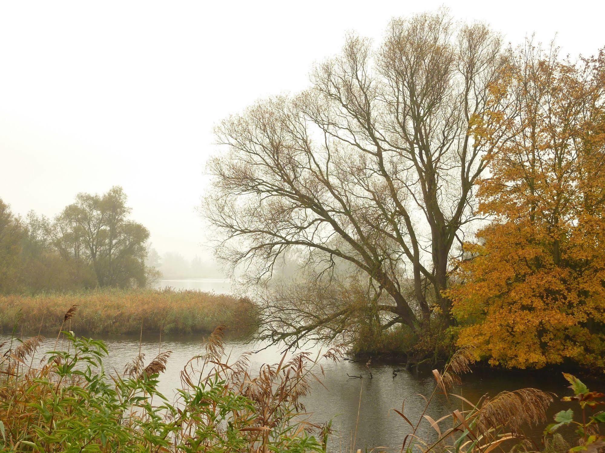 De Brabantse Biesbosch Hotel Werkendam Eksteriør billede