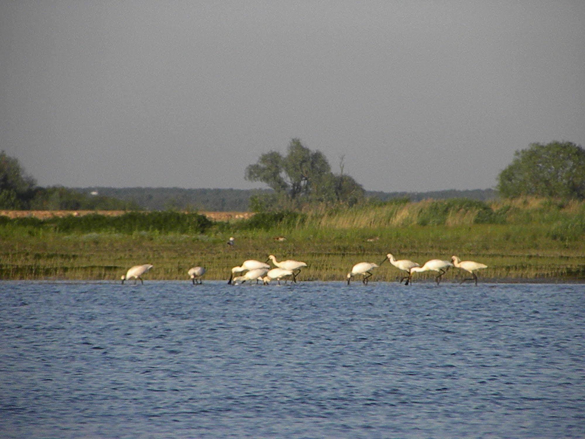 De Brabantse Biesbosch Hotel Werkendam Eksteriør billede