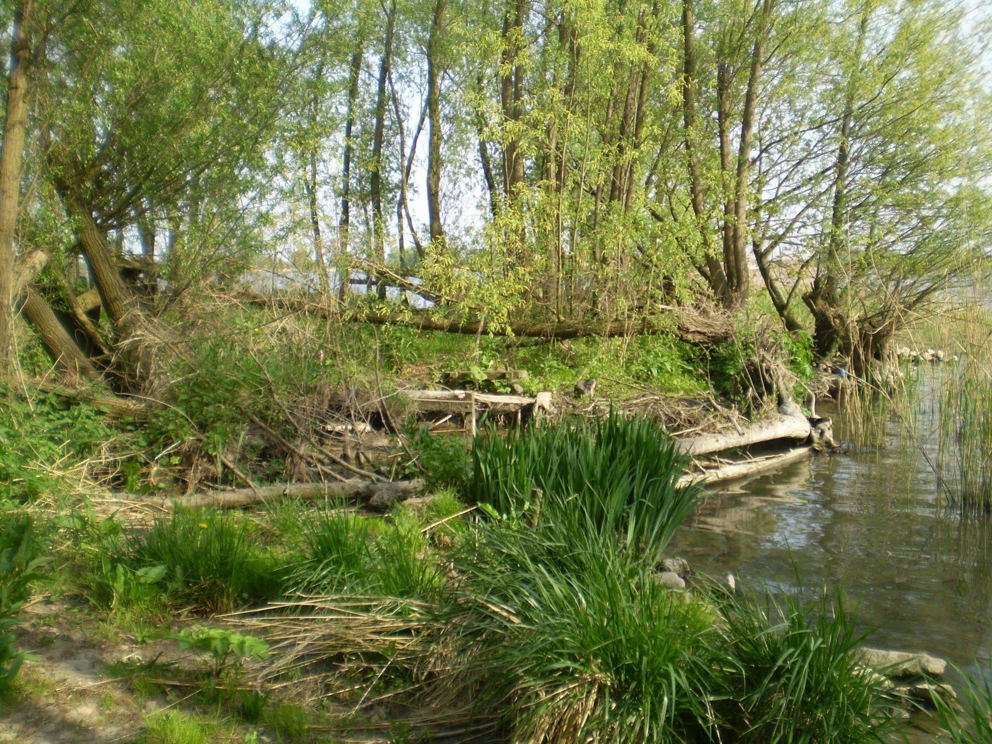 De Brabantse Biesbosch Hotel Werkendam Eksteriør billede